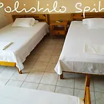 Polistilo Spiti *