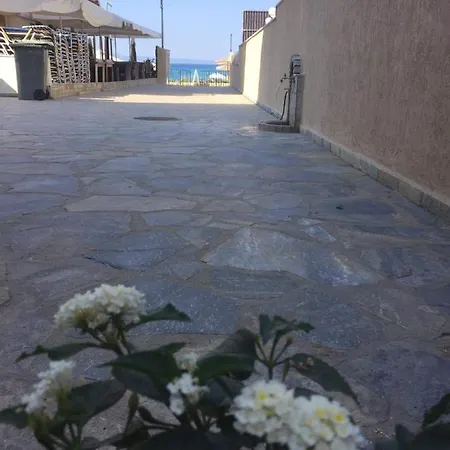 Polistilo Spiti * بوليخرونو