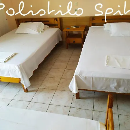 Polistilo Spiti *