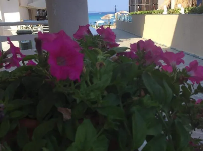 Polistilo Spiti Apartamento Polychrono