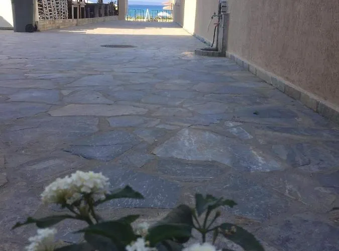 Polistilo Spiti * Polychrono