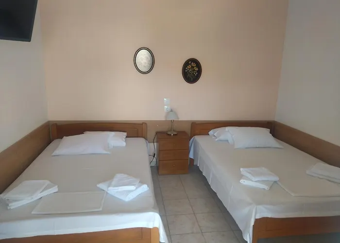 Polistilo Spiti *